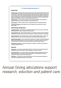 Annual Giving icon