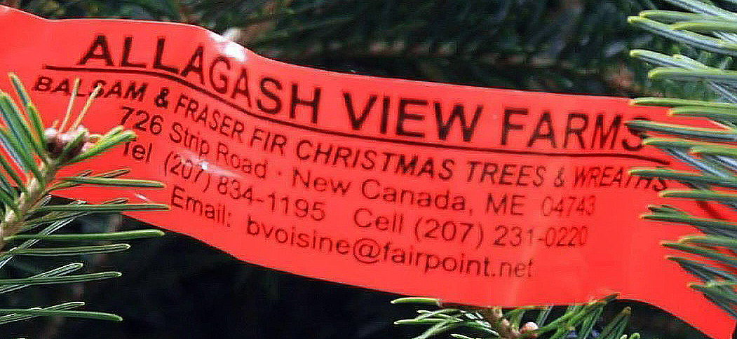 allagash view farms logo for chaval christmas tree fundraiser