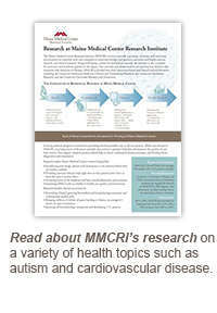 MMCRI Research